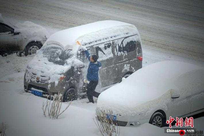 老周孙琳公交车事件：是道德的缺失还是人性的沦丧